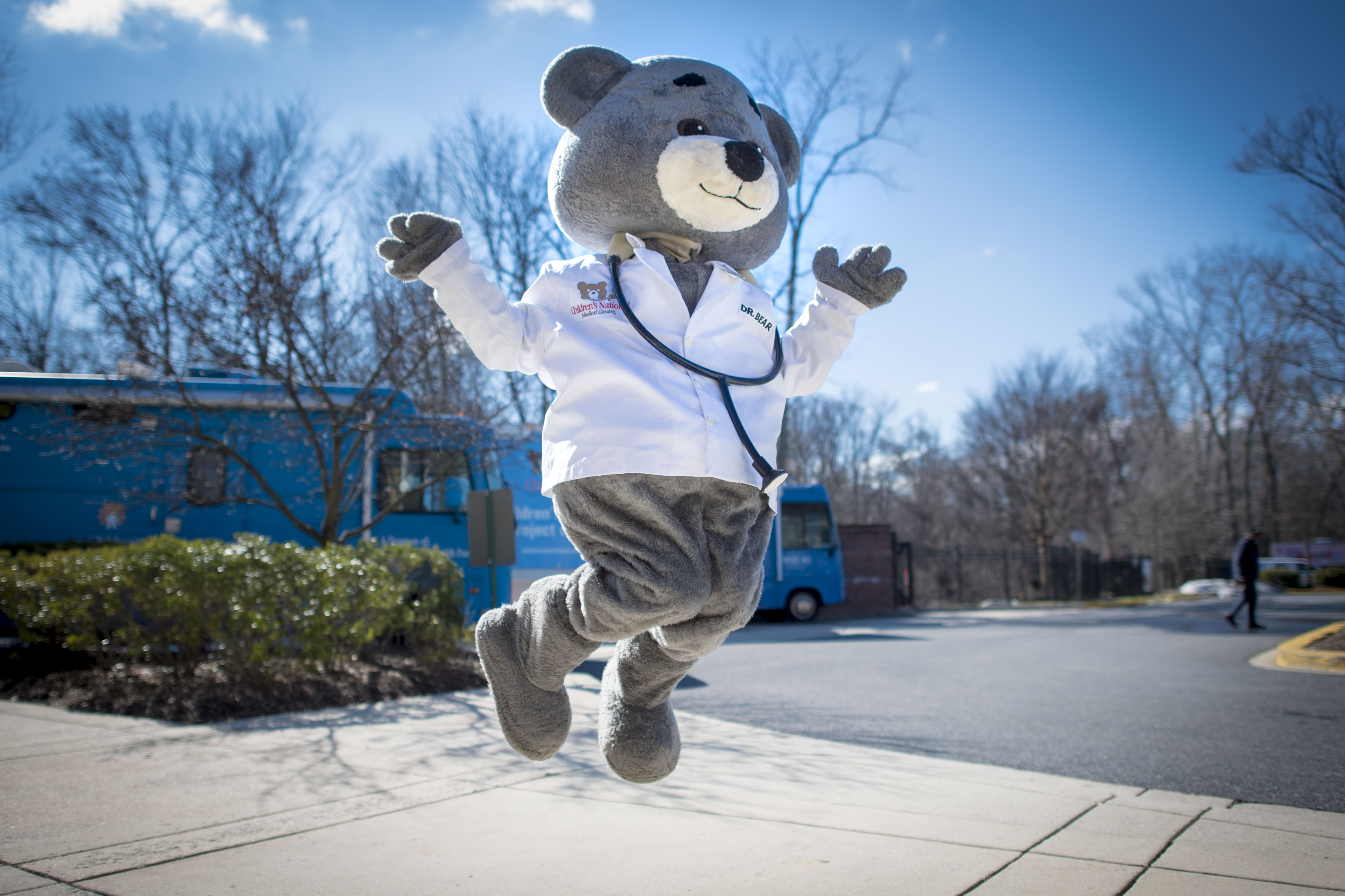 Dr. Bear in a jumping pose